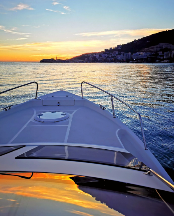 Delphia Nano | Andrea