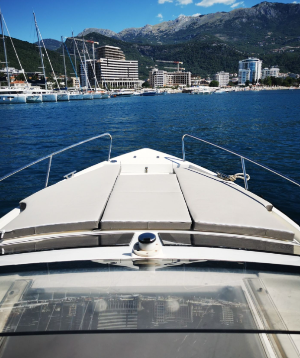 Delphia Nano | Andrea