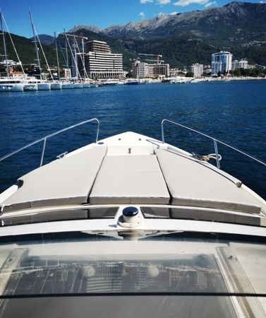 Delphia Nano | Andrea