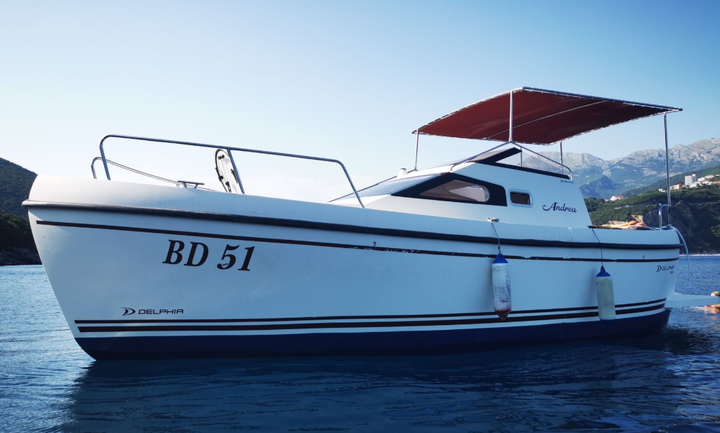 Delphia Nano | Andrea