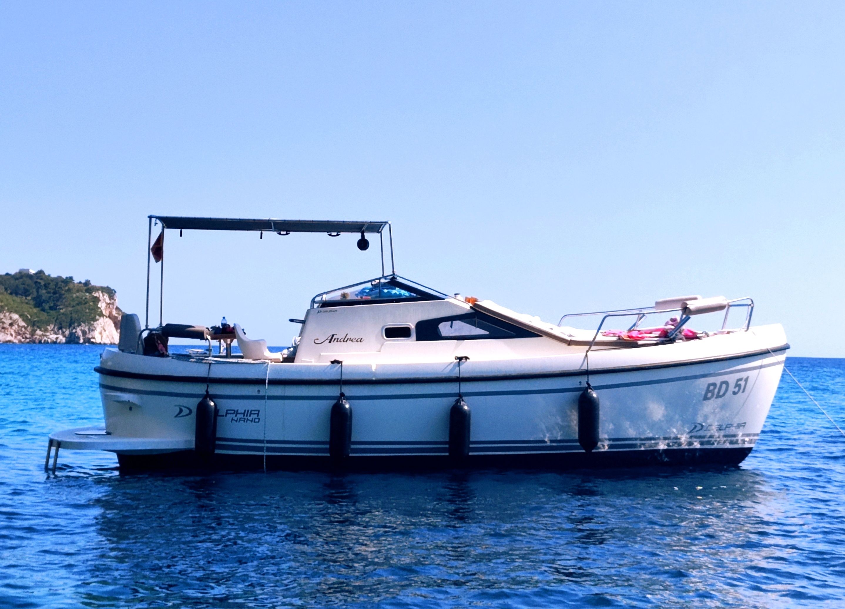 Delphia Nano | Andrea