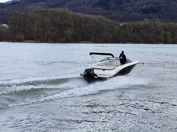 Sea Ray 190 SPX | Osterreich