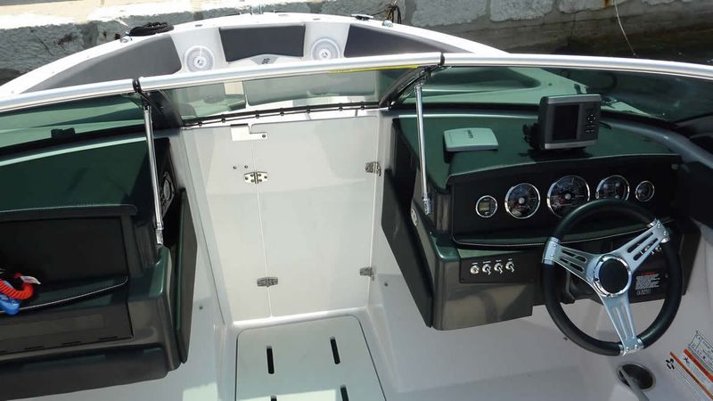 Four Winns 210 Horizon | Black Pearl