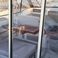 Jeanneau Merry Fisher 695 | 18