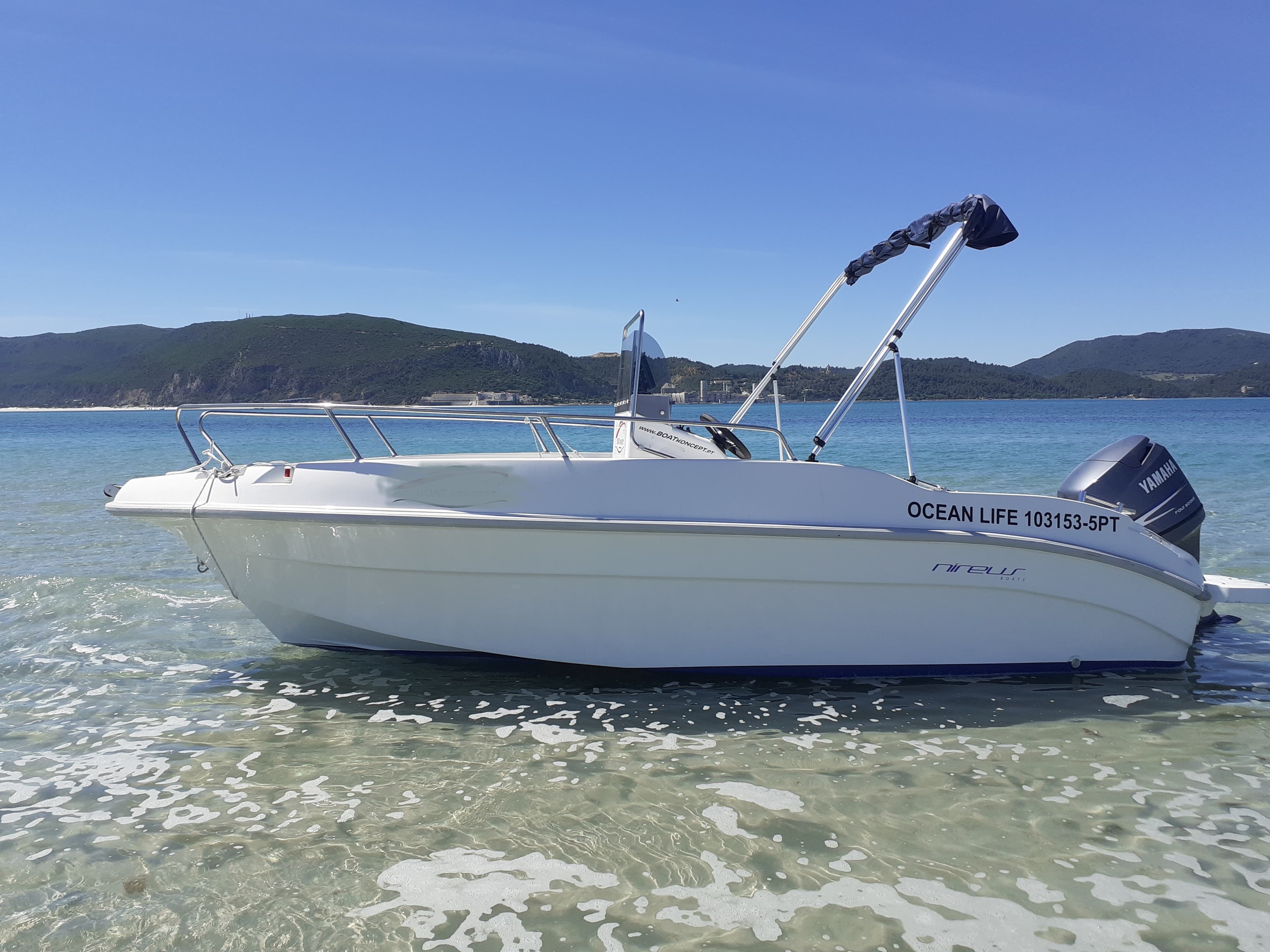 Nireus 5.30 | Ocean Life