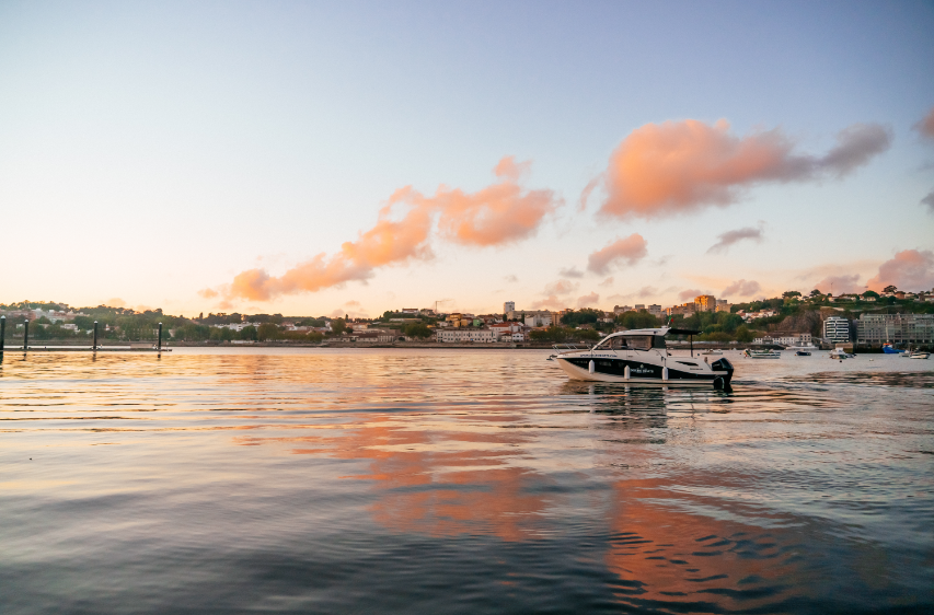 Quicksilver 755 Weekend | Shell 2