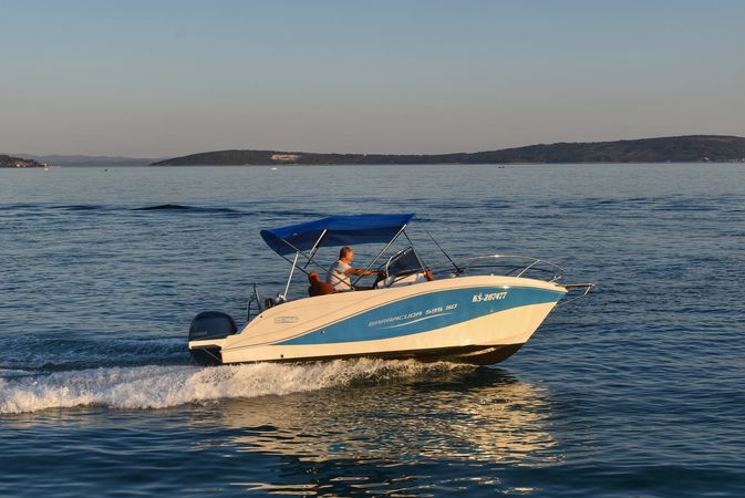 Barracuda 595 | Barracuda