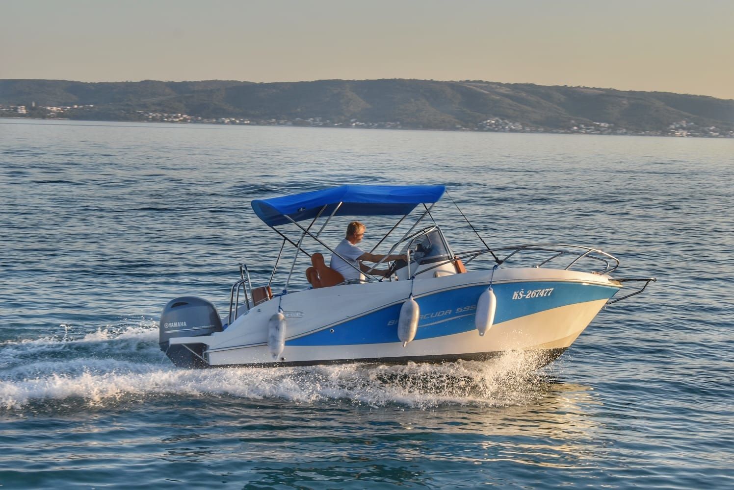 Barracuda 595 | Barracuda