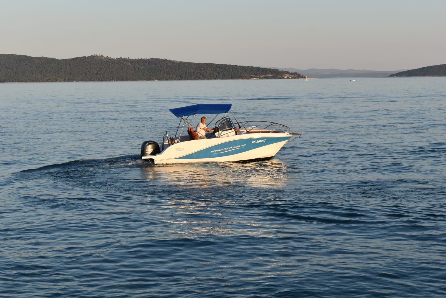 Barracuda 595 | Barracuda