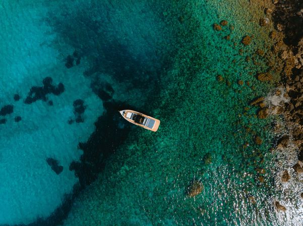 De Antonio D50 Open | Spartan