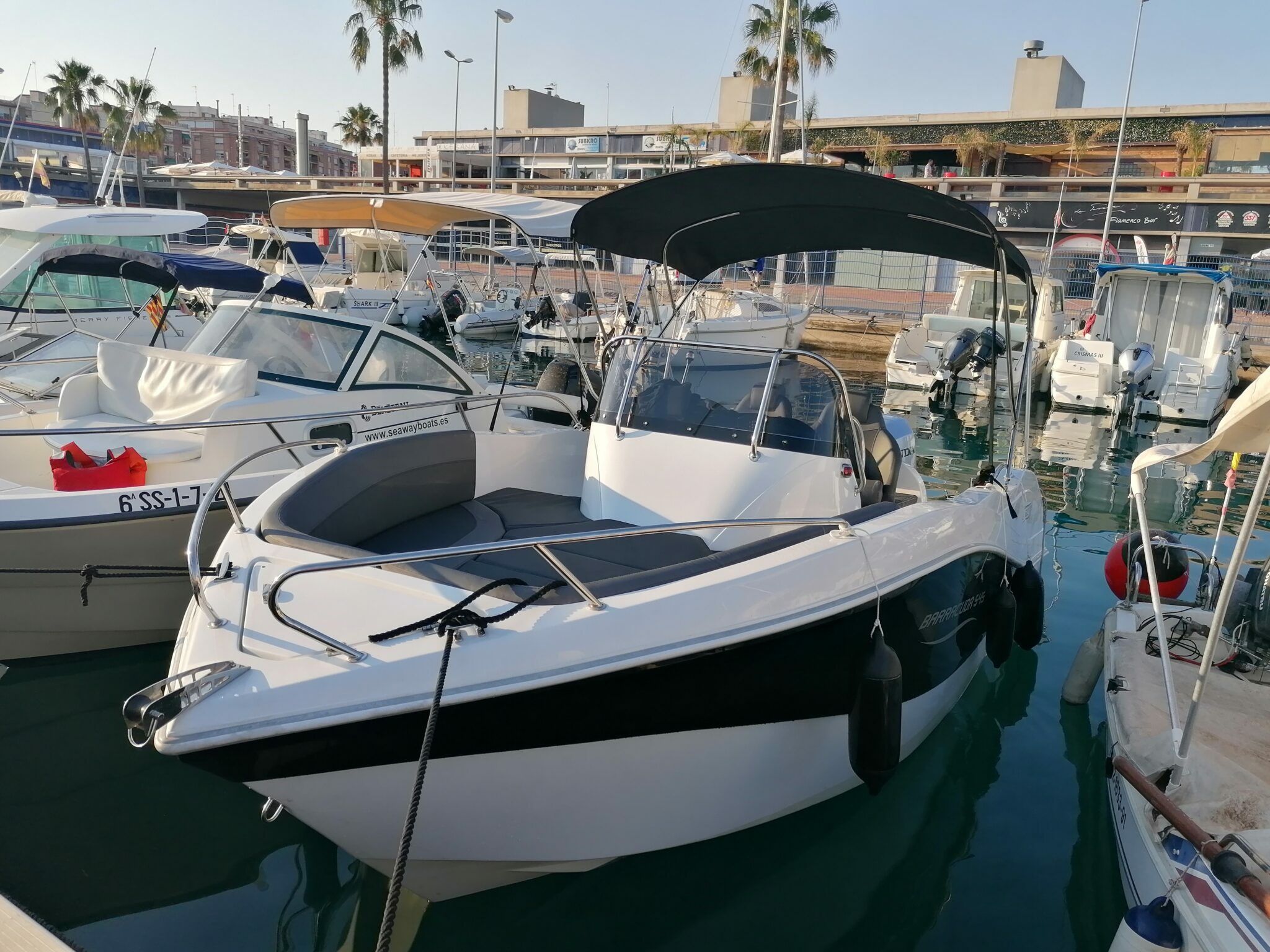 Barracuda 545 | La Perla