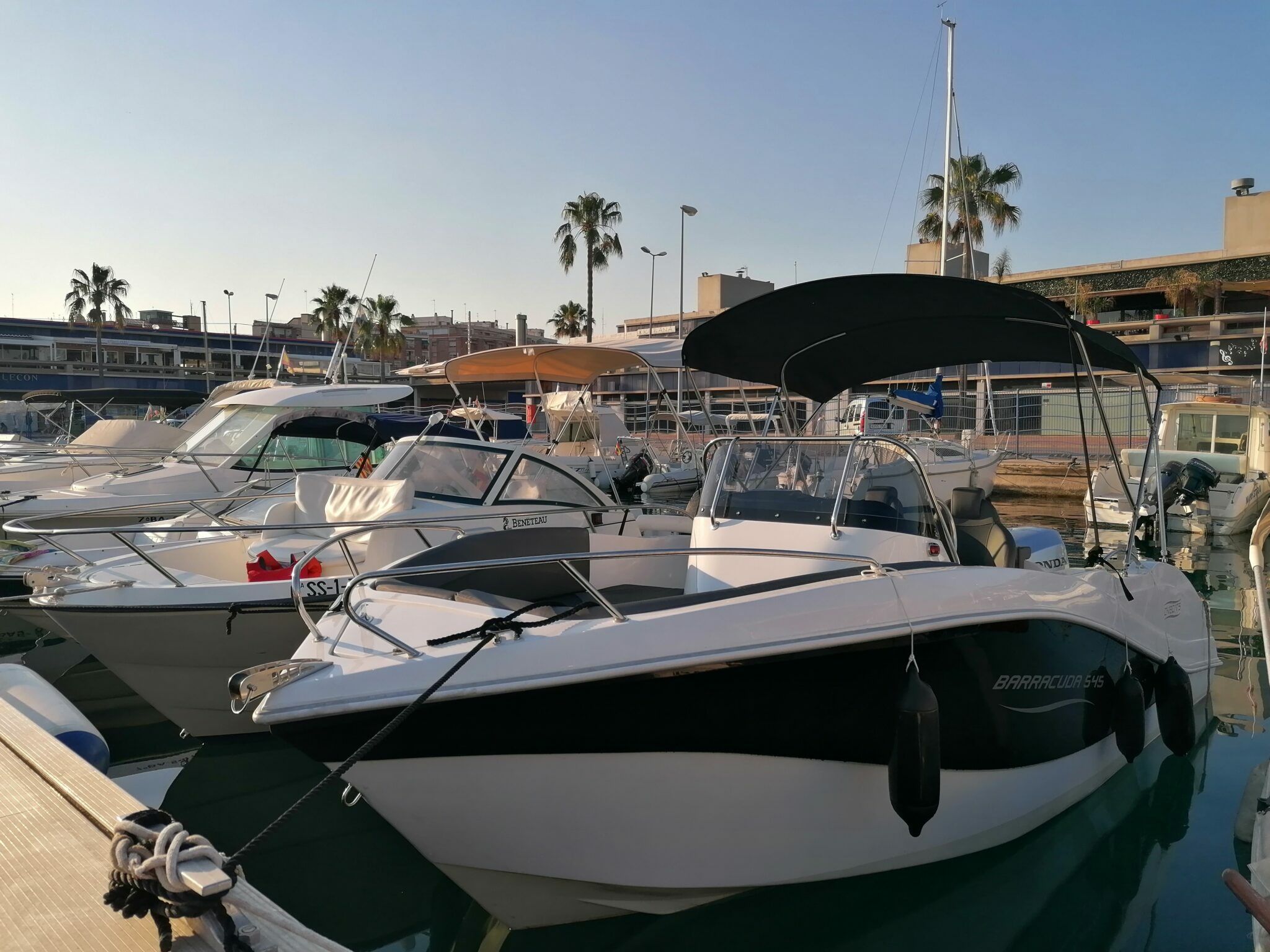 Barracuda 545 | La Perla