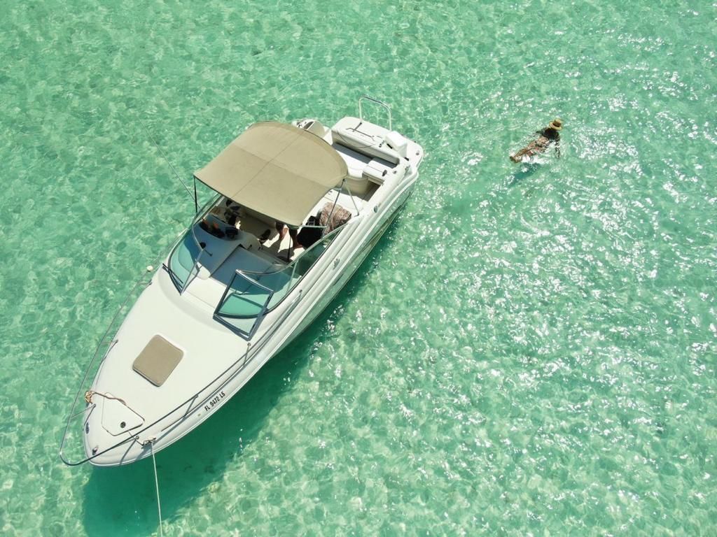 Sea Ray 250 | Annie's Toy