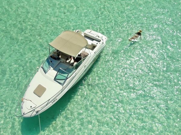 Sea Ray 250 | Annie's Toy