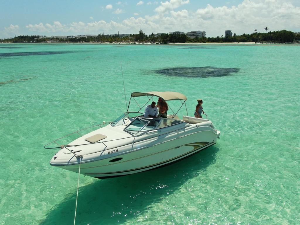 Sea Ray 250 | Annie's Toy