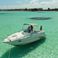 Sea Ray 250 | Annie's Toy