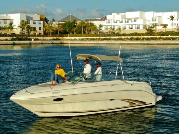Sea Ray 250 | Annie's Toy