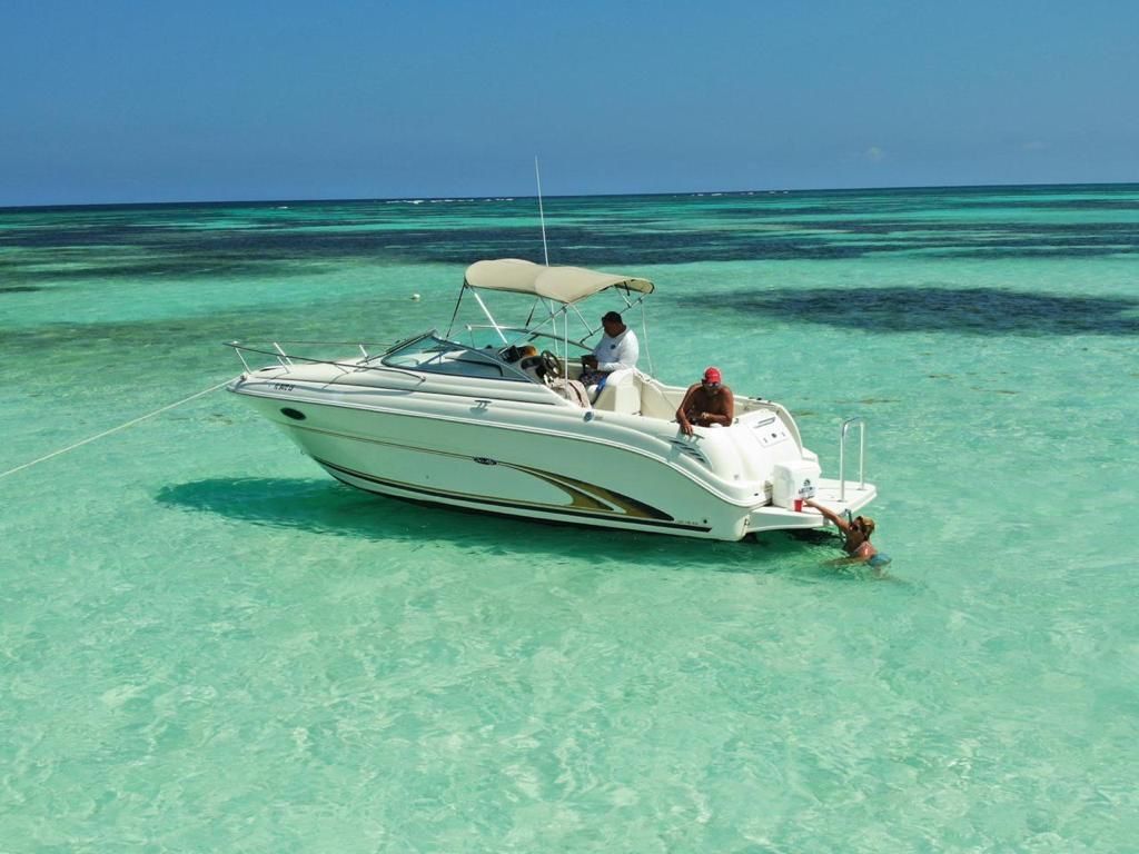 Sea Ray 250 | Annie's Toy
