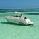 Sea Ray 250 | Annie's Toy