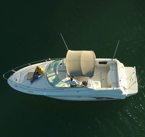 Sea Ray 250 | Annie's Toy