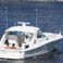 Sea Ray Sundancer 40 | Vixen