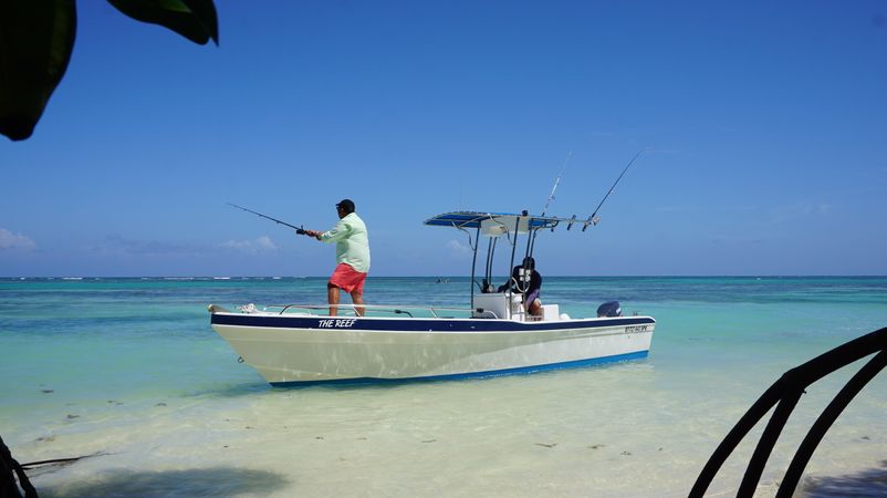 Custom Built 21 | The Reef