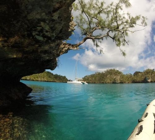 Voyage 430 | Quixotic