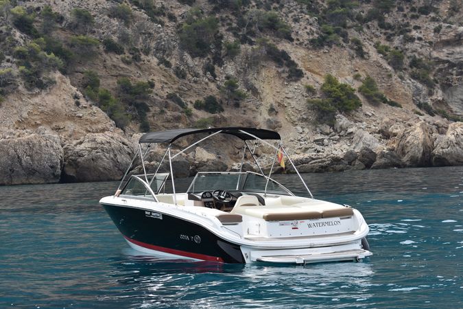 Cobalt 220 | Watermelon