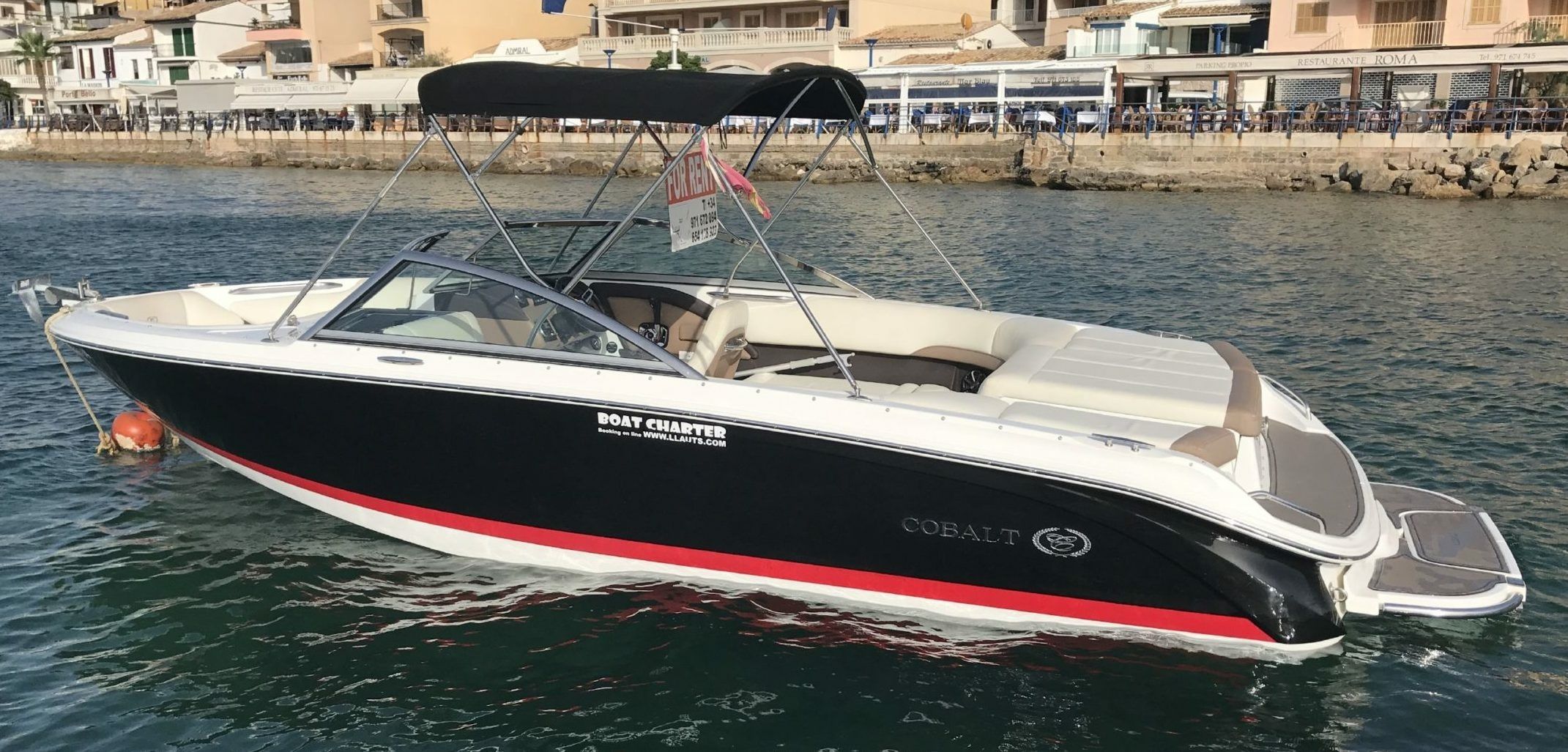 Cobalt 220 | Watermelon