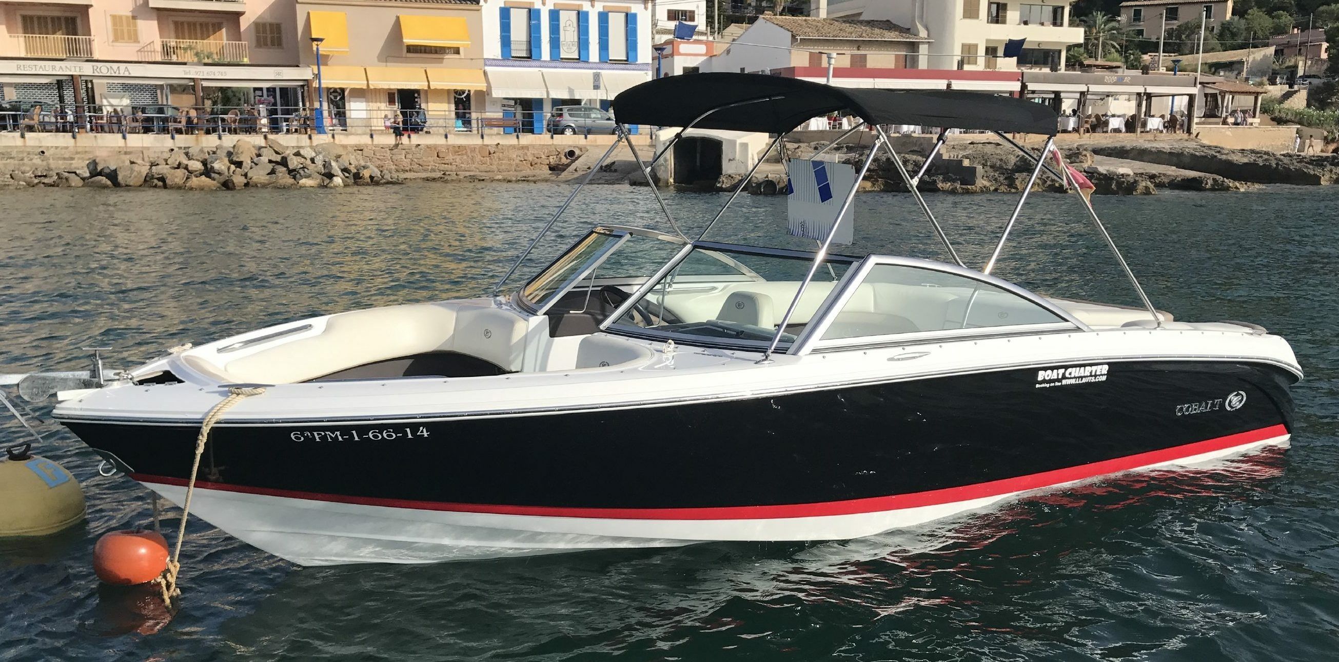 Cobalt 220 | Watermelon