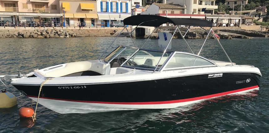 Cobalt 220 | Watermelon