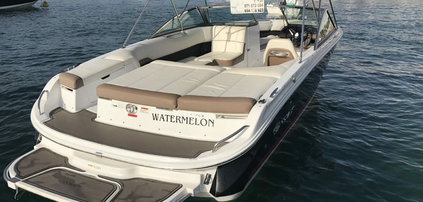 Cobalt 220 | Watermelon