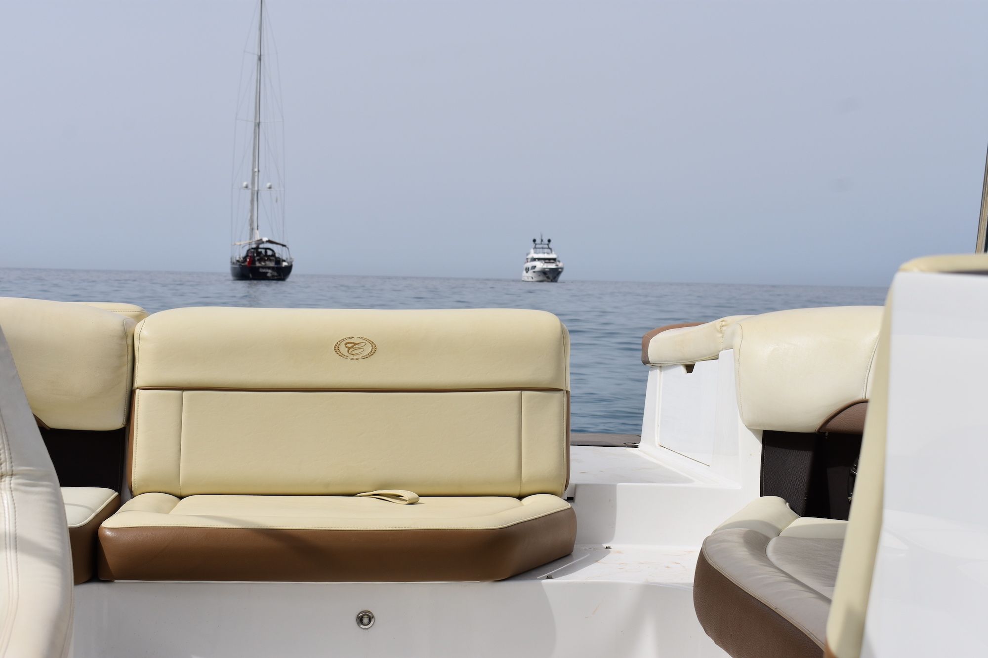 Cobalt 220 | Watermelon