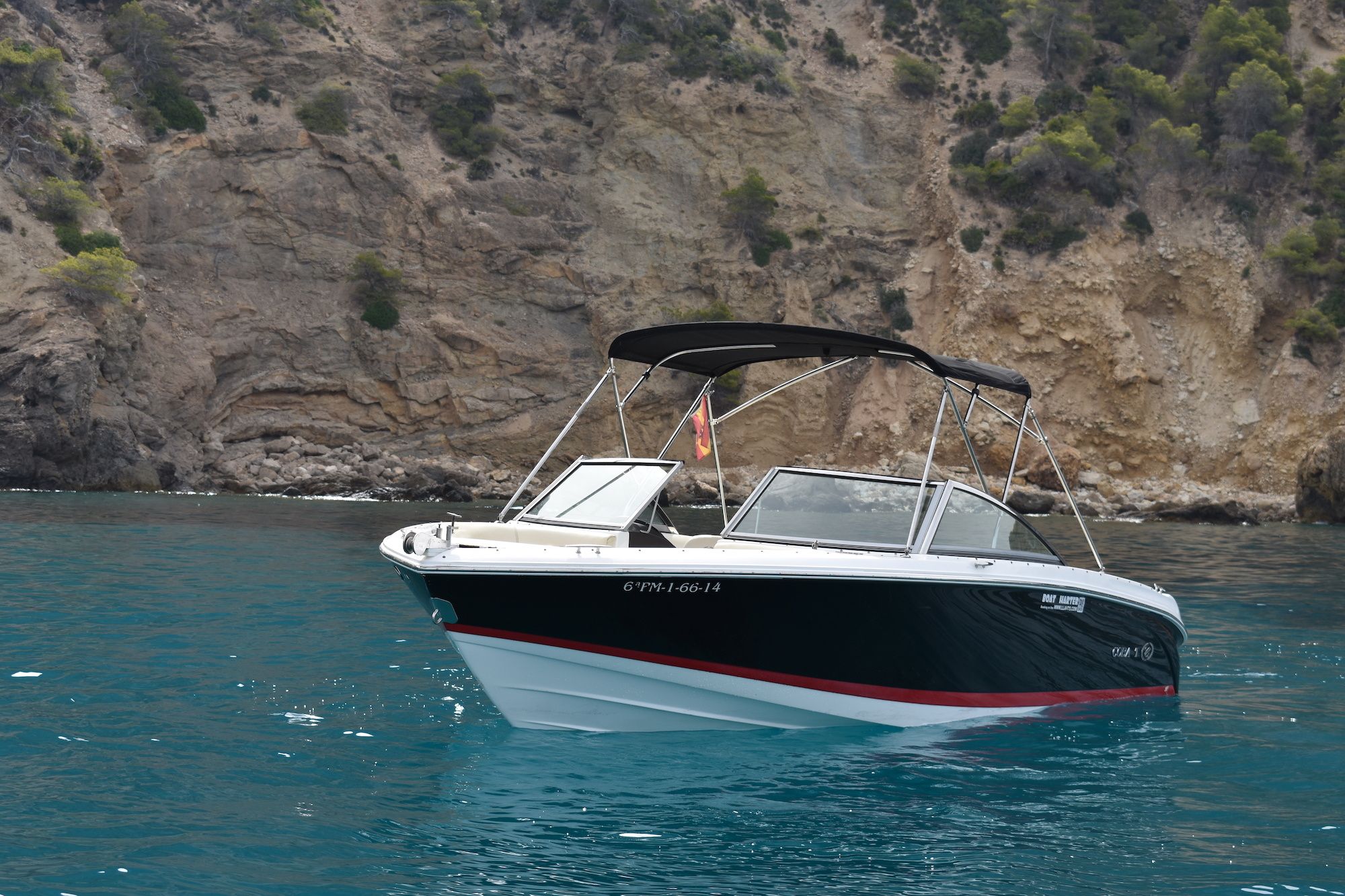 Cobalt 220 | Watermelon