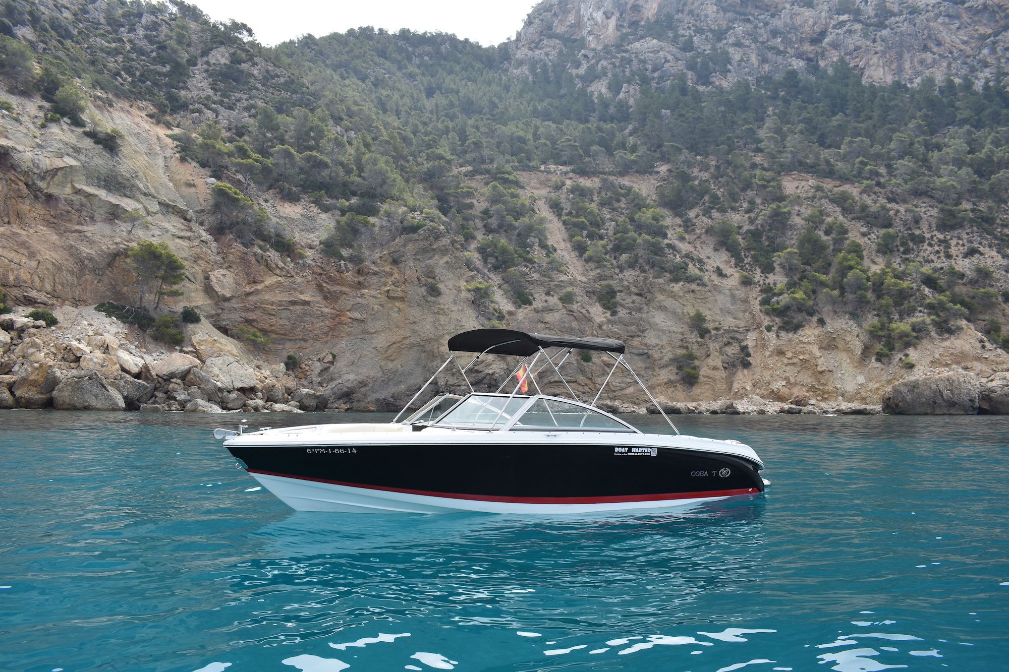 Cobalt 220 | Watermelon