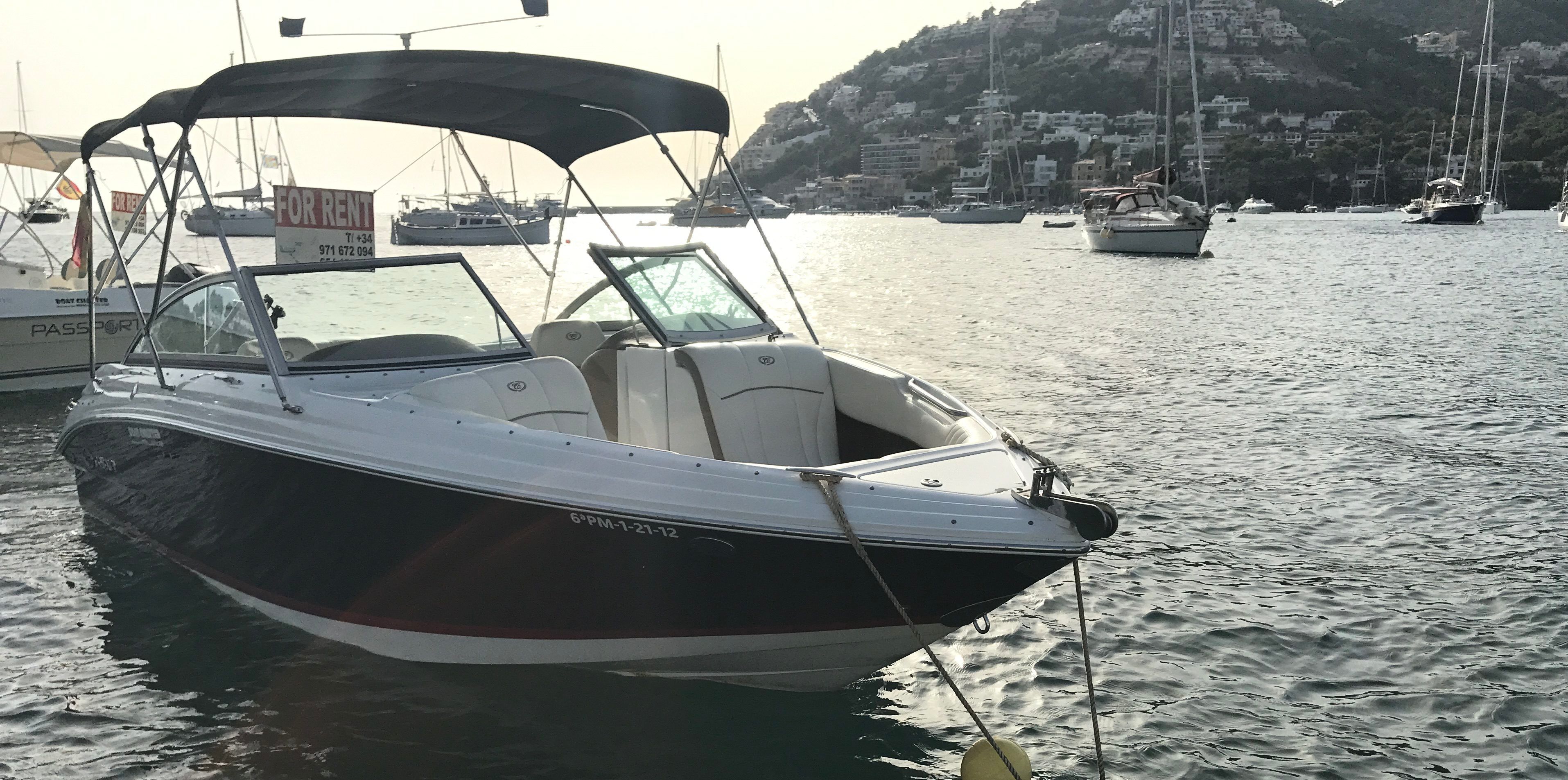 Cobalt 222 | Princesa
