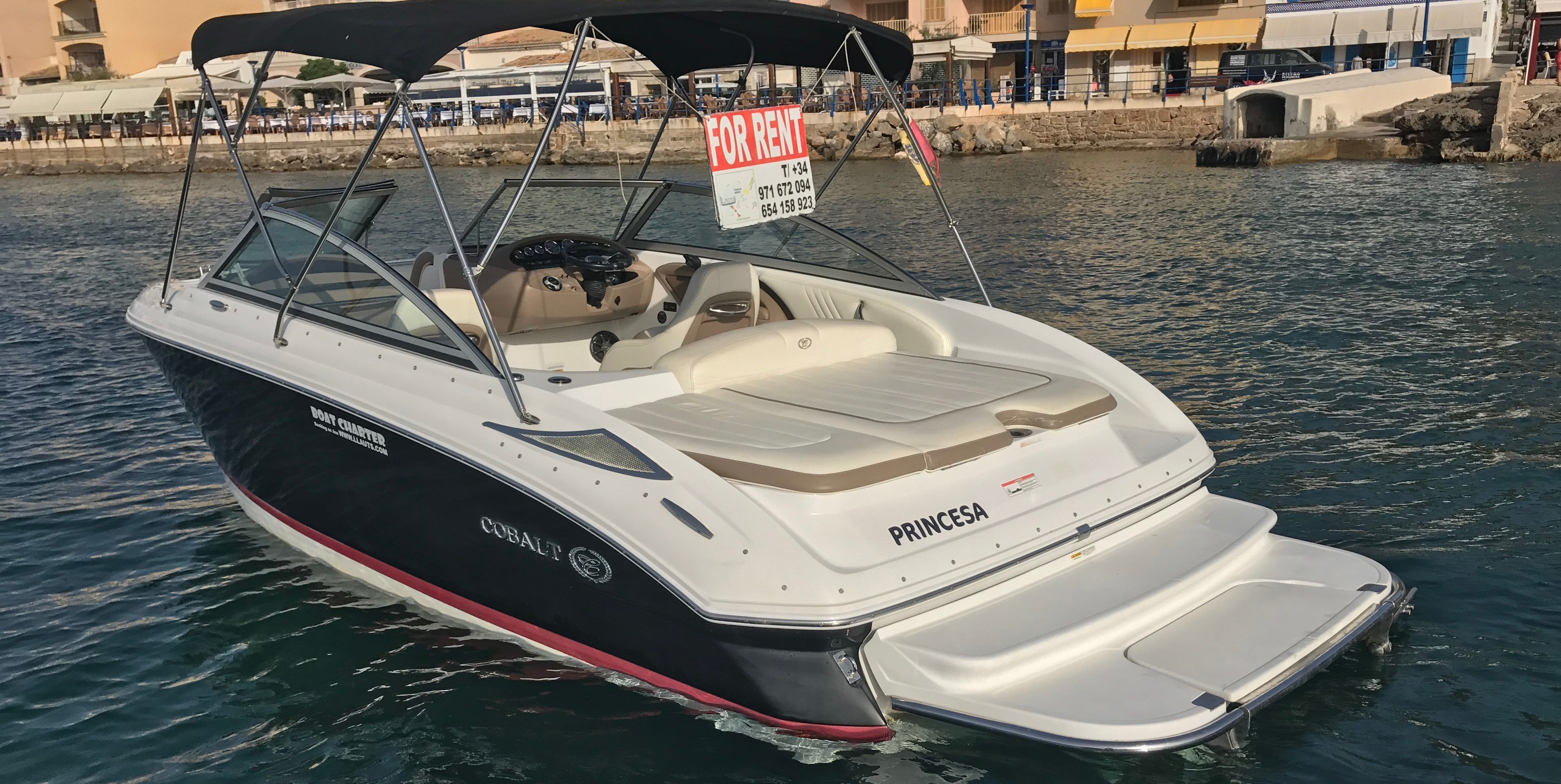 Cobalt 222 | Princesa