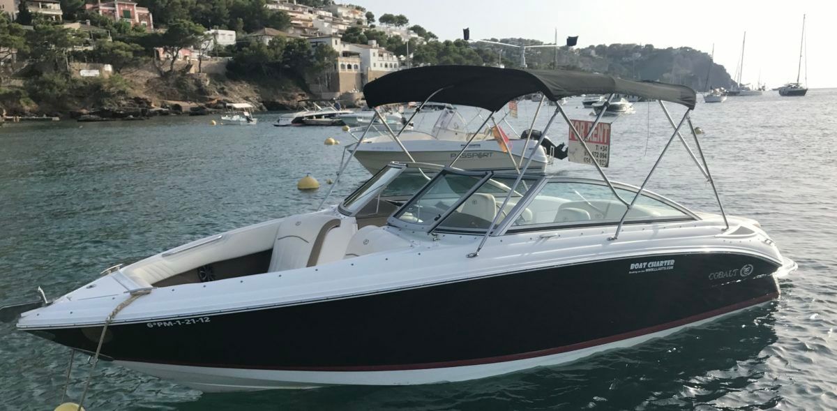 Cobalt 222 | Princesa