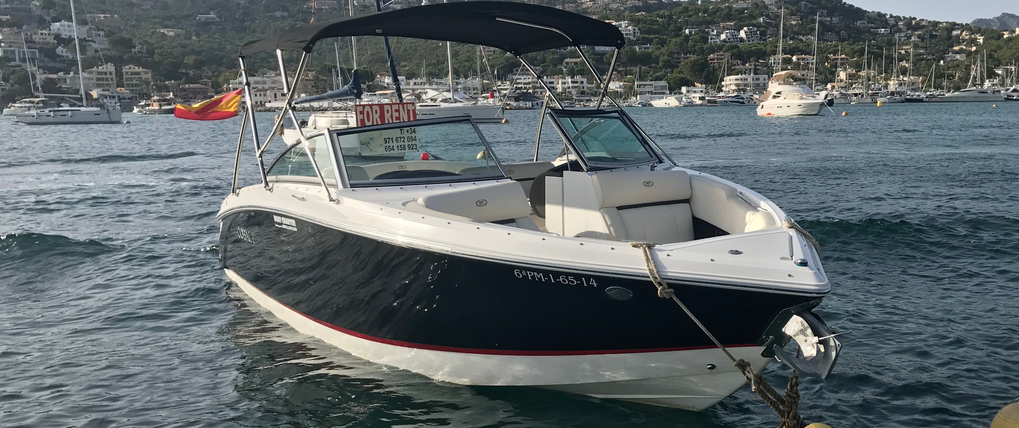 Cobalt R3 | Turquesa