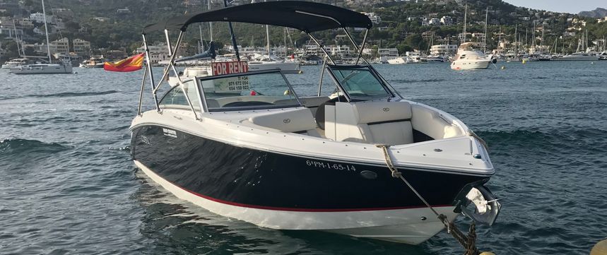 Cobalt R3 | Turquesa