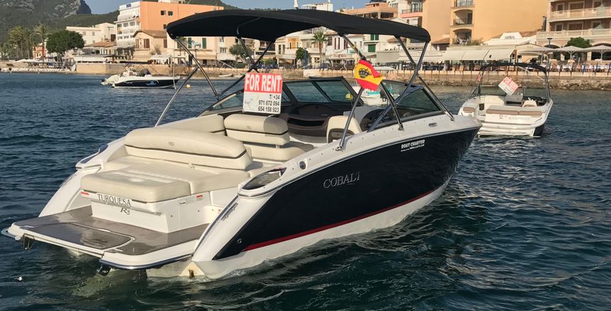 Cobalt R3 | Turquesa