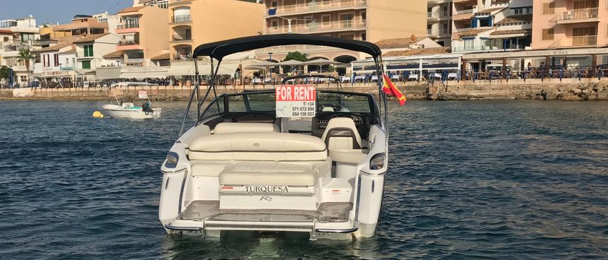 Cobalt R3 | Turquesa