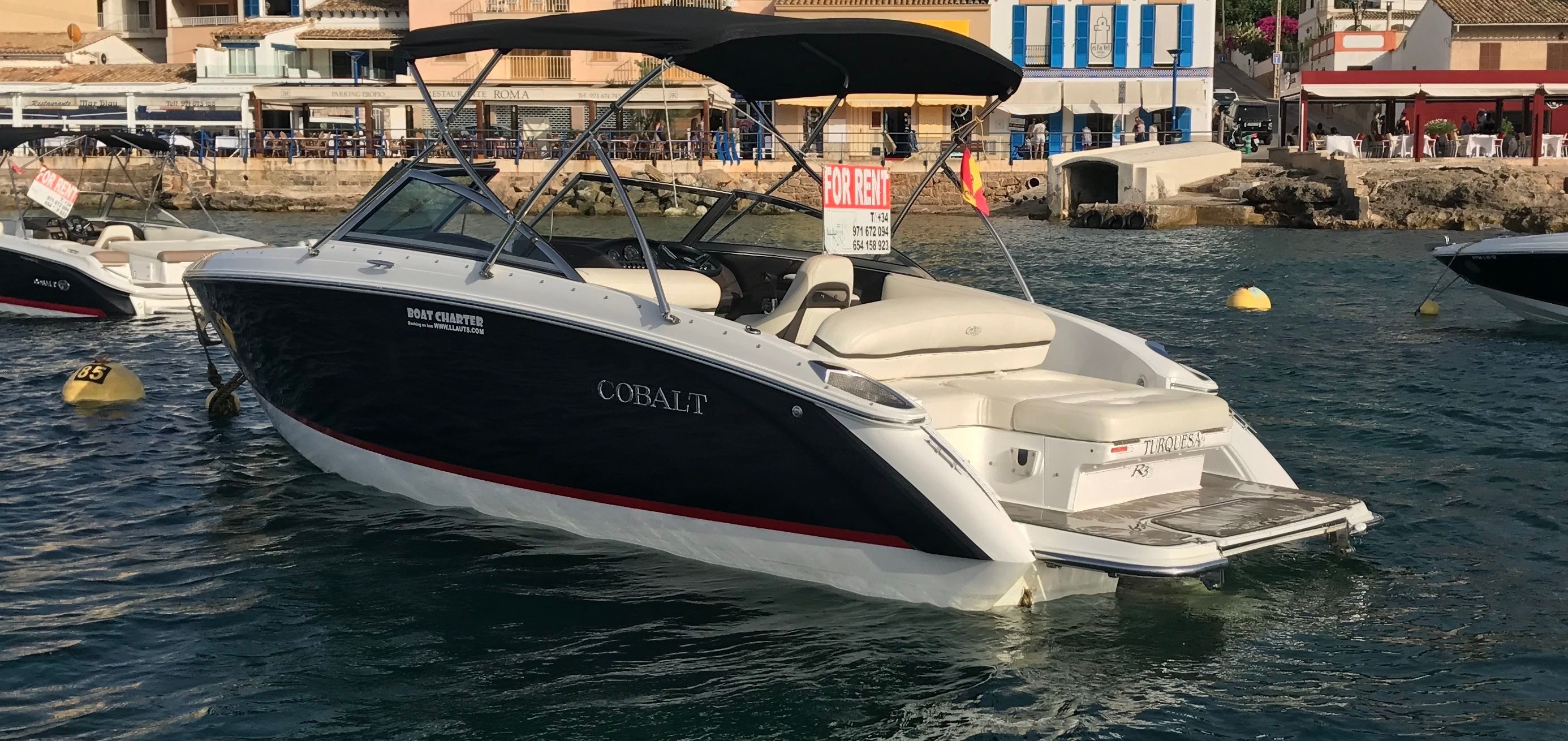 Cobalt R3 | Turquesa