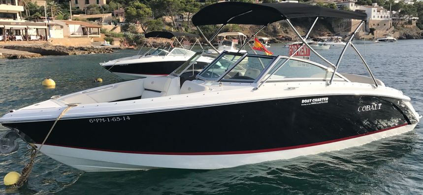Cobalt R3 | Turquesa