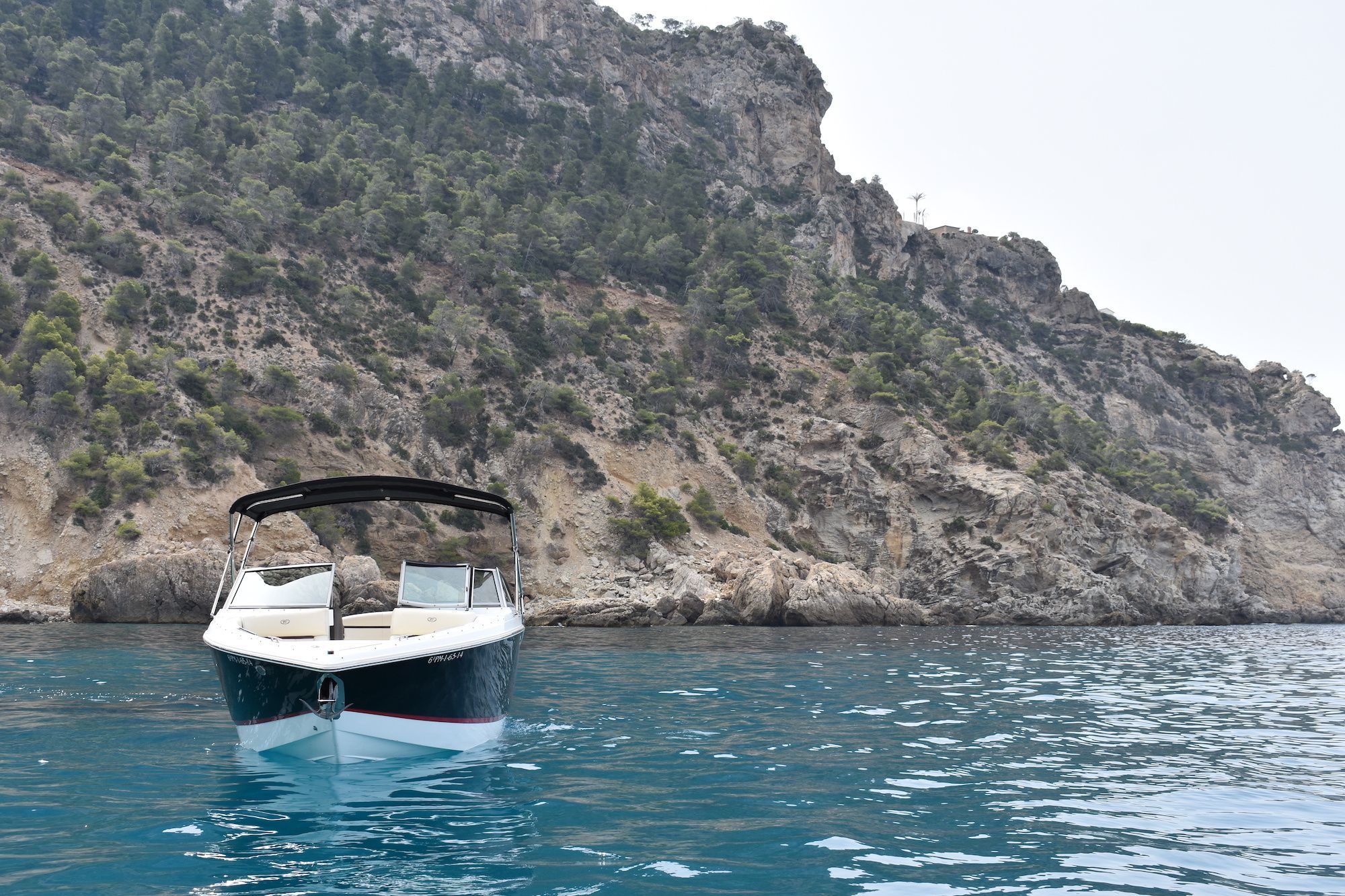 Cobalt R3 | Turquesa