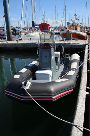 Zodiac Pro 5.5 | Gavotte