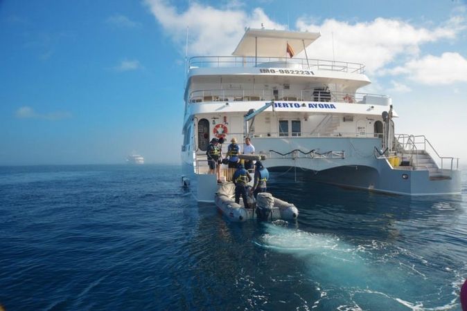 Custom Built 103 | Alya