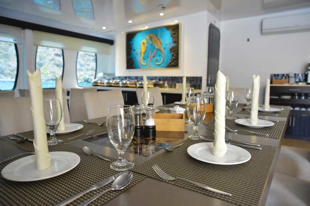 Custom Built 103 | Alya