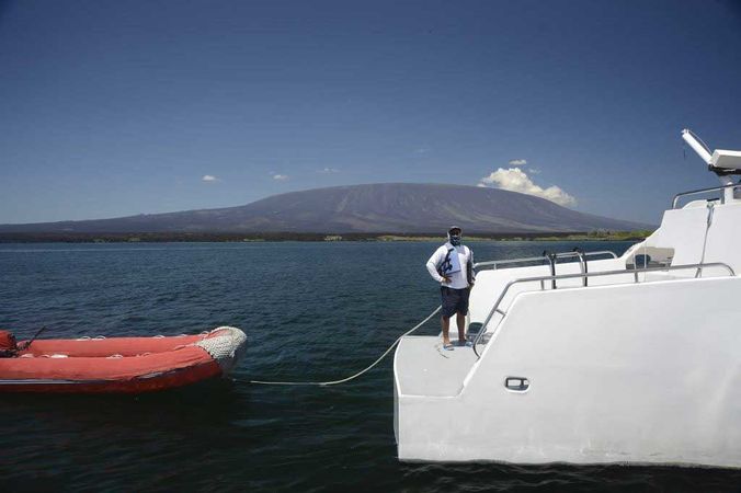 Custom Built 103 | Alya