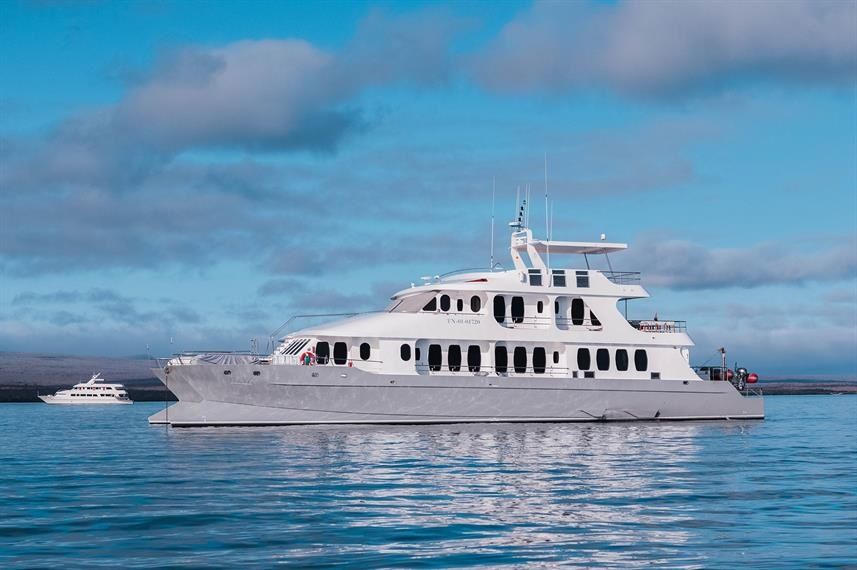 Custom Built 103 | Alya